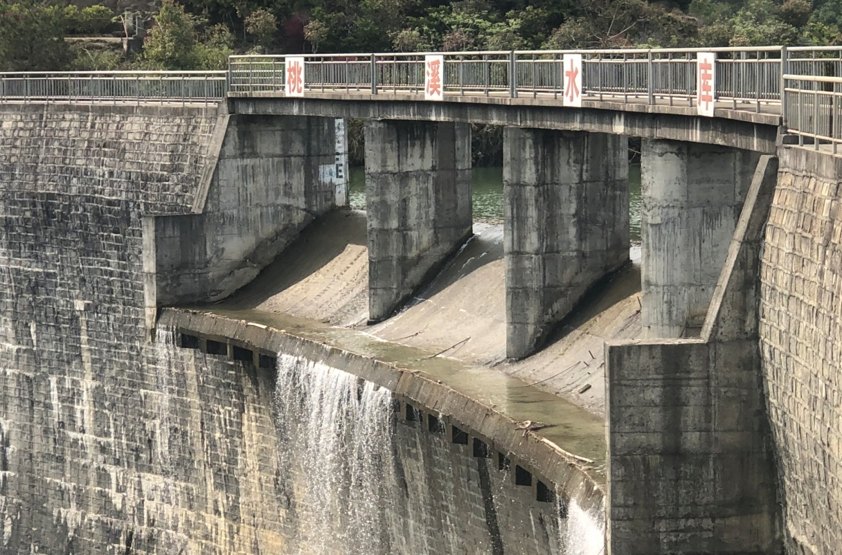 福建省桃溪水库大坝安全评价